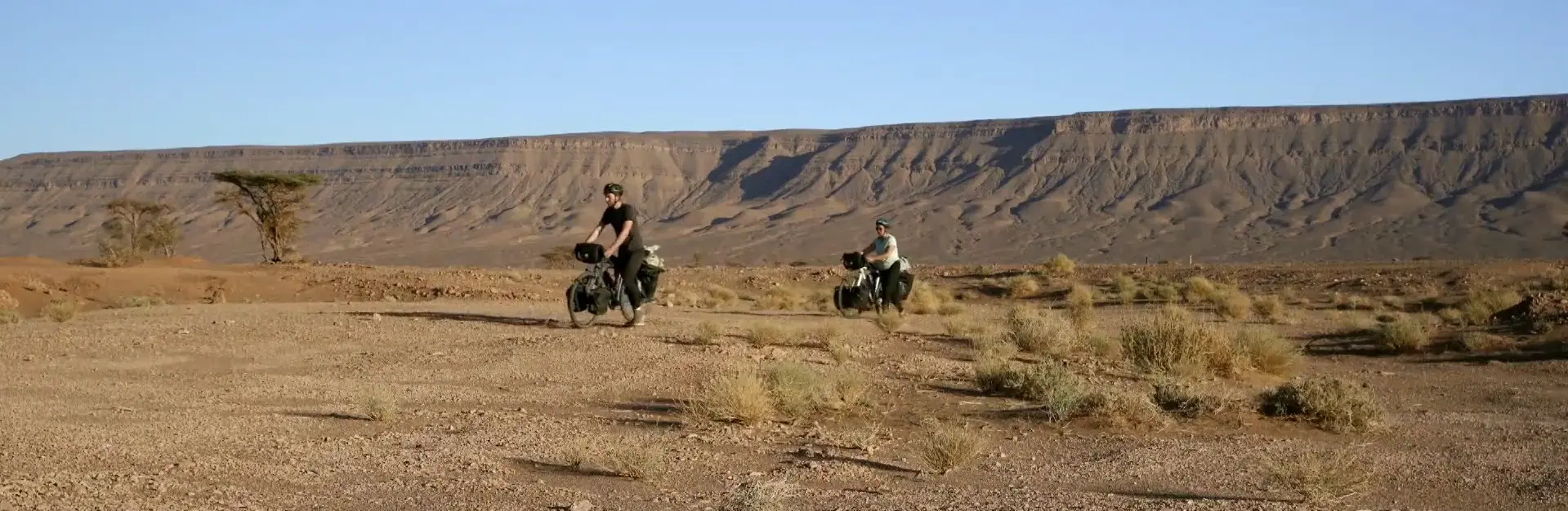 Featured image of post Les voix du Sahara