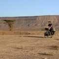Les voix du Sahara