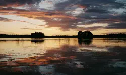 Featured image of post Littoinen