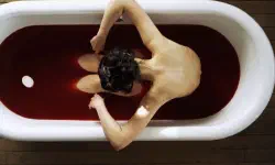 Featured image of post Bella B