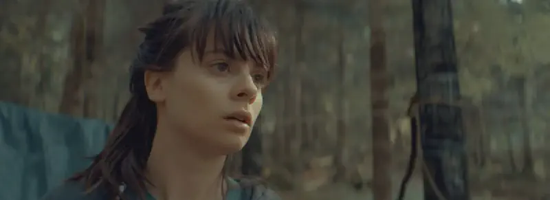 Featured image of post Les Volutes