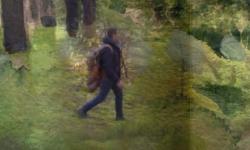 Featured image of post L'Homme des bois