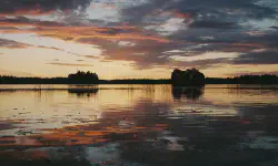 Featured image of post Littoinen