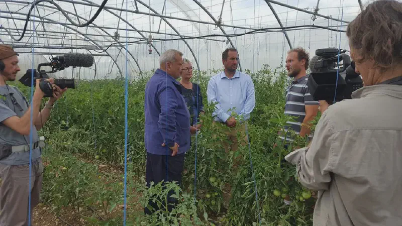 Featured image of post MCV Meuse