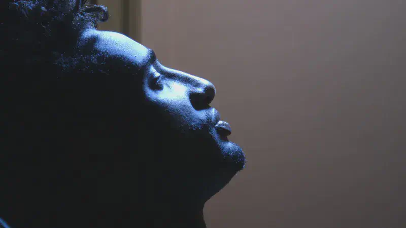 Featured image of post Voyage en barbarie